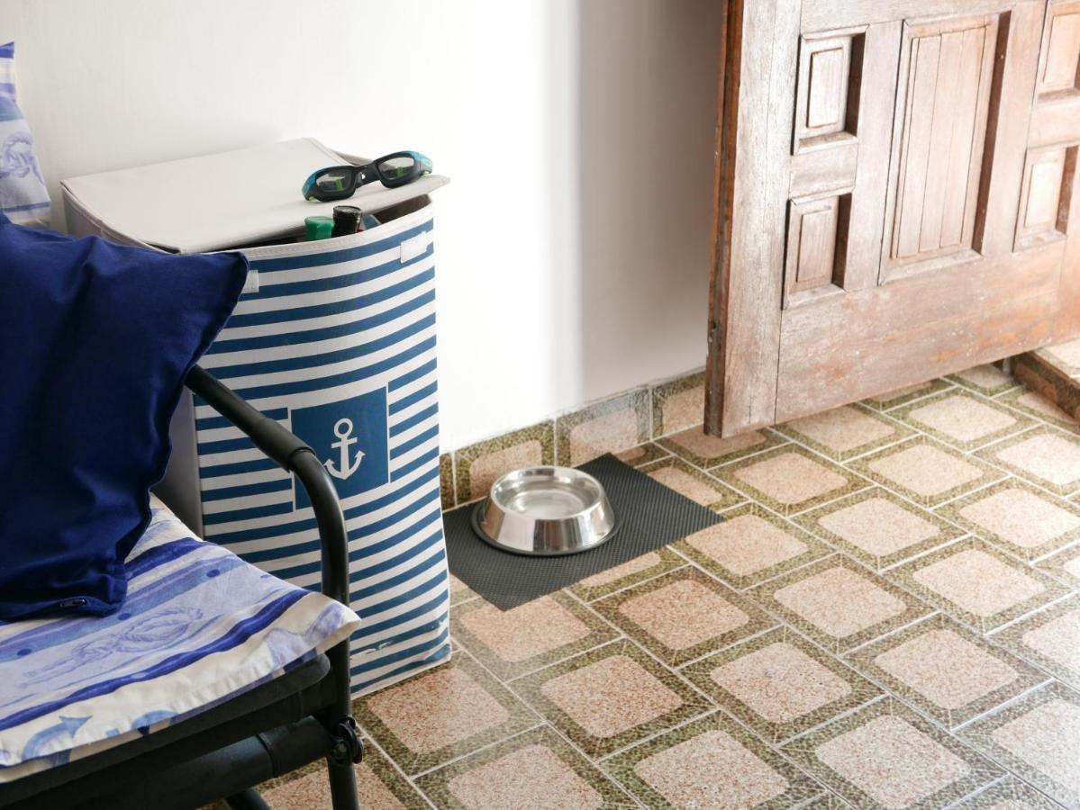 Potocina 21 Apartment