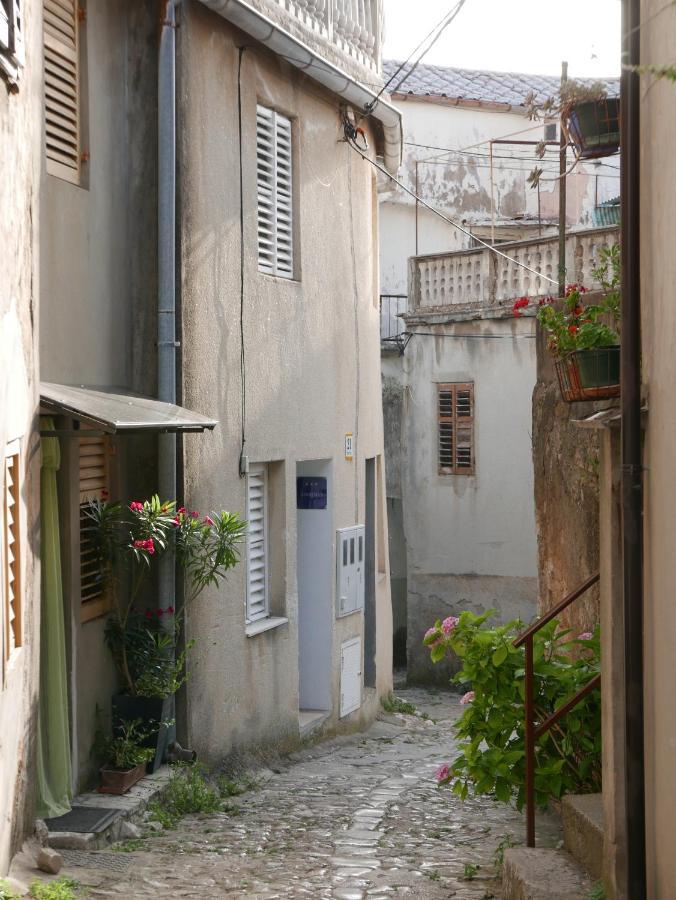 Apartment Potocina 21